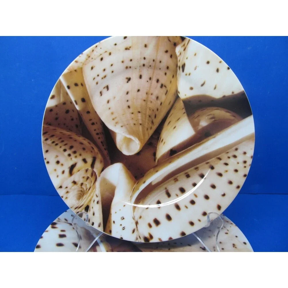 Pier 1 Seashell 8